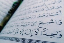 advanced web tool details code 514363096