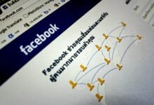 professional web service guide summary